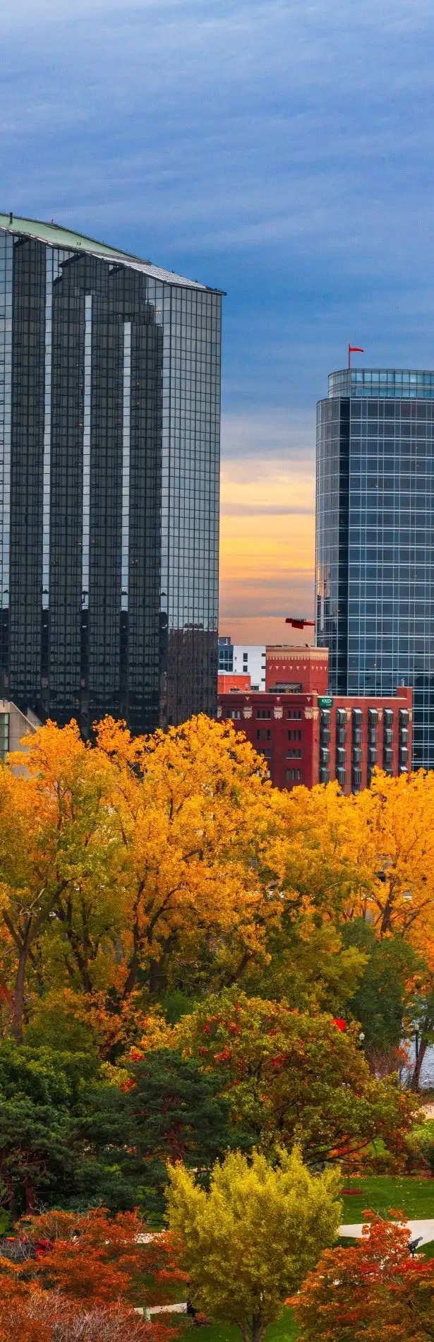 Responsive Banner Image